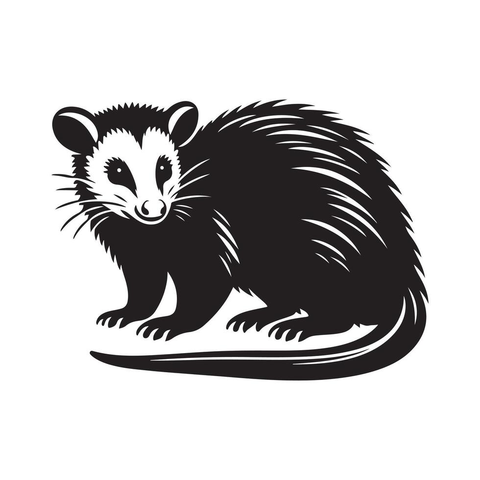 Possum silhouette vectors illustration
