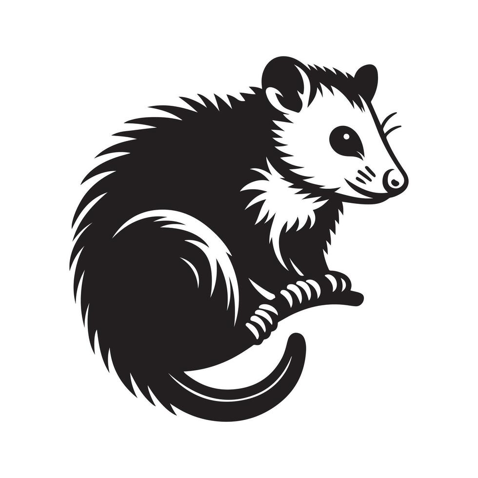 Possum silhouette vectors illustration