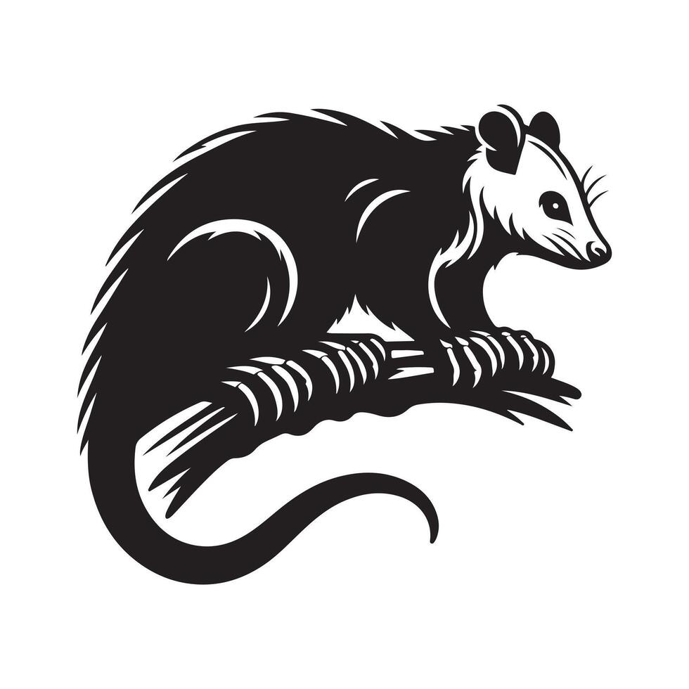 Possum silhouette vectors illustration