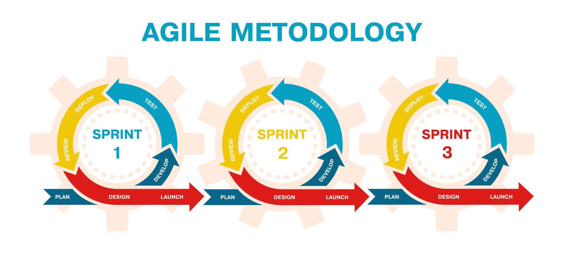 Agile project management, development methodology infographic. Agile software development lifecycle process sprints illustration. Agile development diagram vector