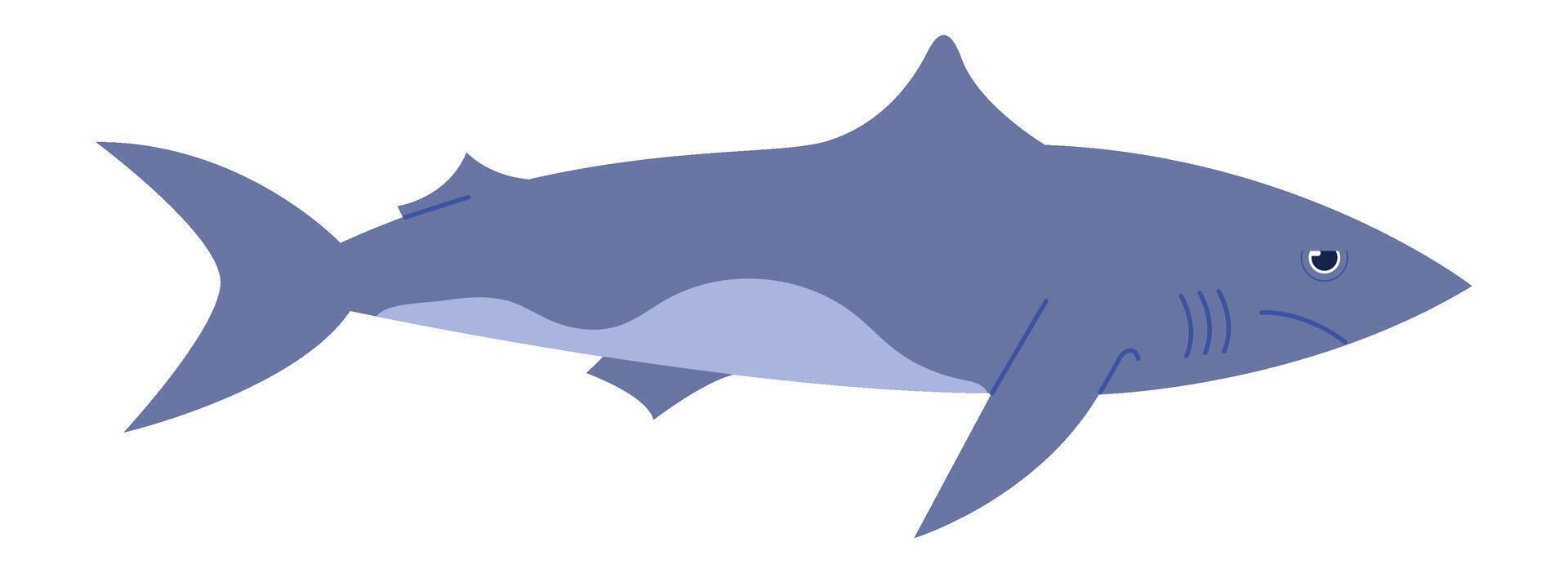 Sea predator, dangerous shark isolated on white vector