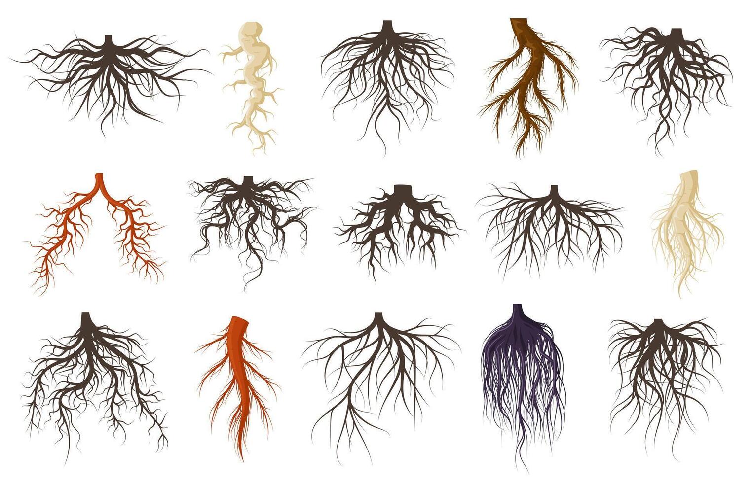 Plants roots systems, growing fibrous trees roots. Underground plants plants, trees branched root symbols set. Tree roots systems silhouettes vector