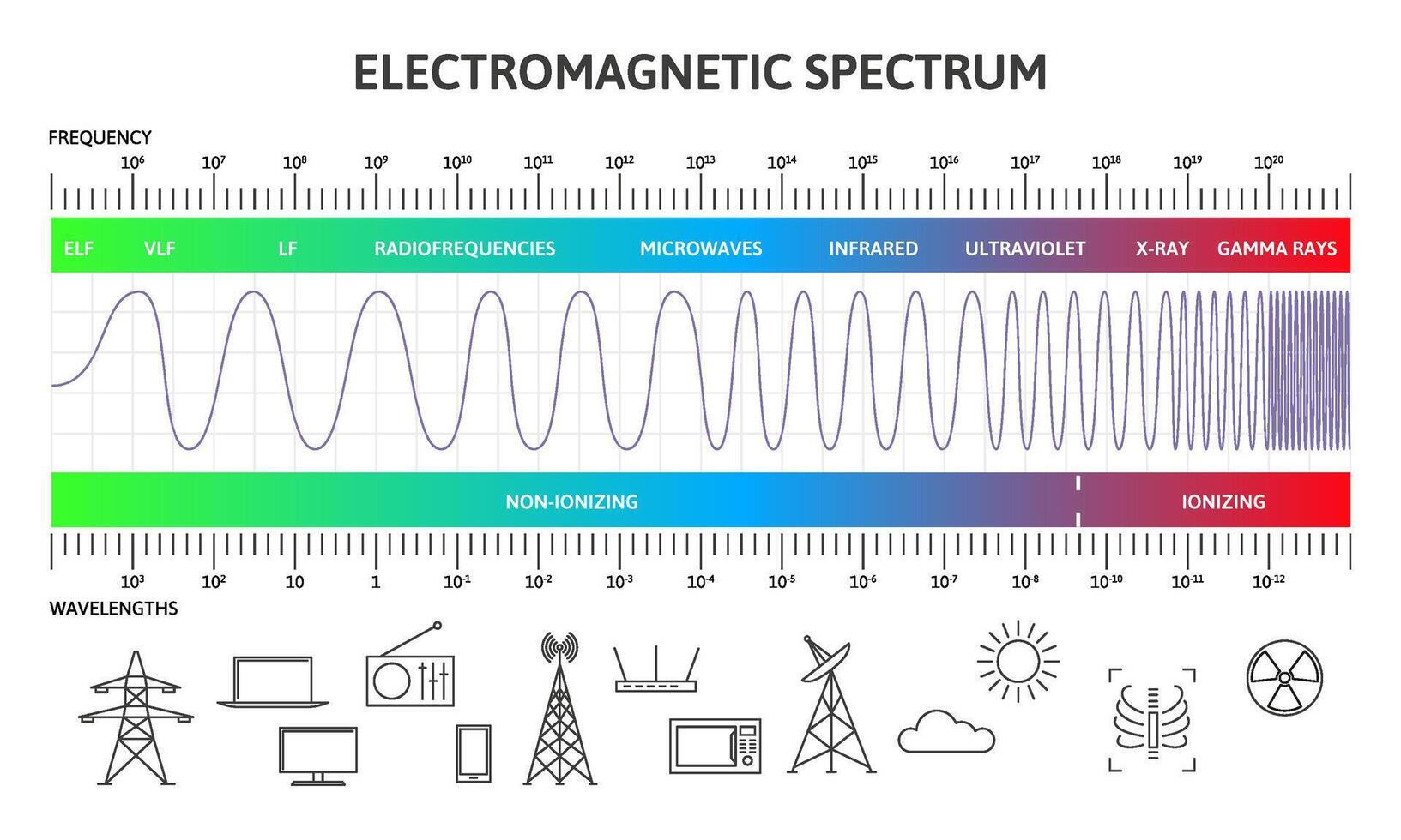 Electromagnetic spectrum infographic, magnetic wavelengths diagram. Physics magnetic radiation waves illustration. Diagram of electromagnetic spectrum vector