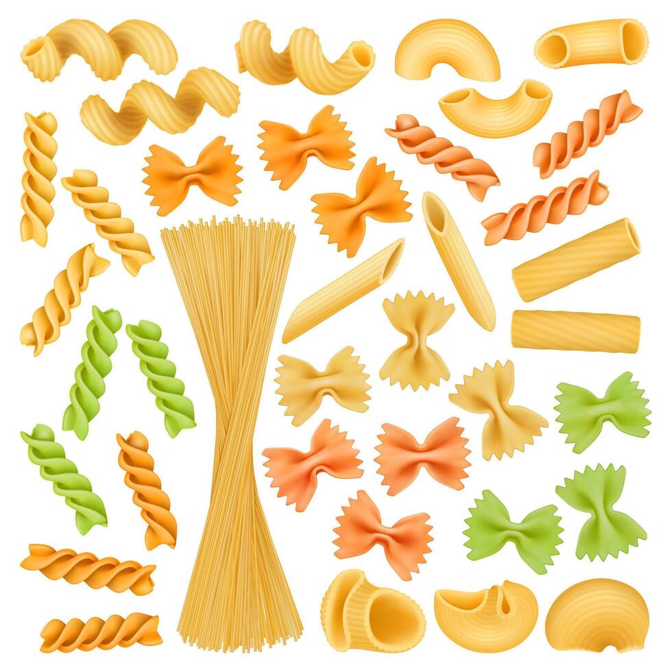 Realistic pasta, italian spaghetti, shells, farfalle and cavatappi. Italian cuisine dish, pasta types gemelli and penne illustration set. Macaroni types vector