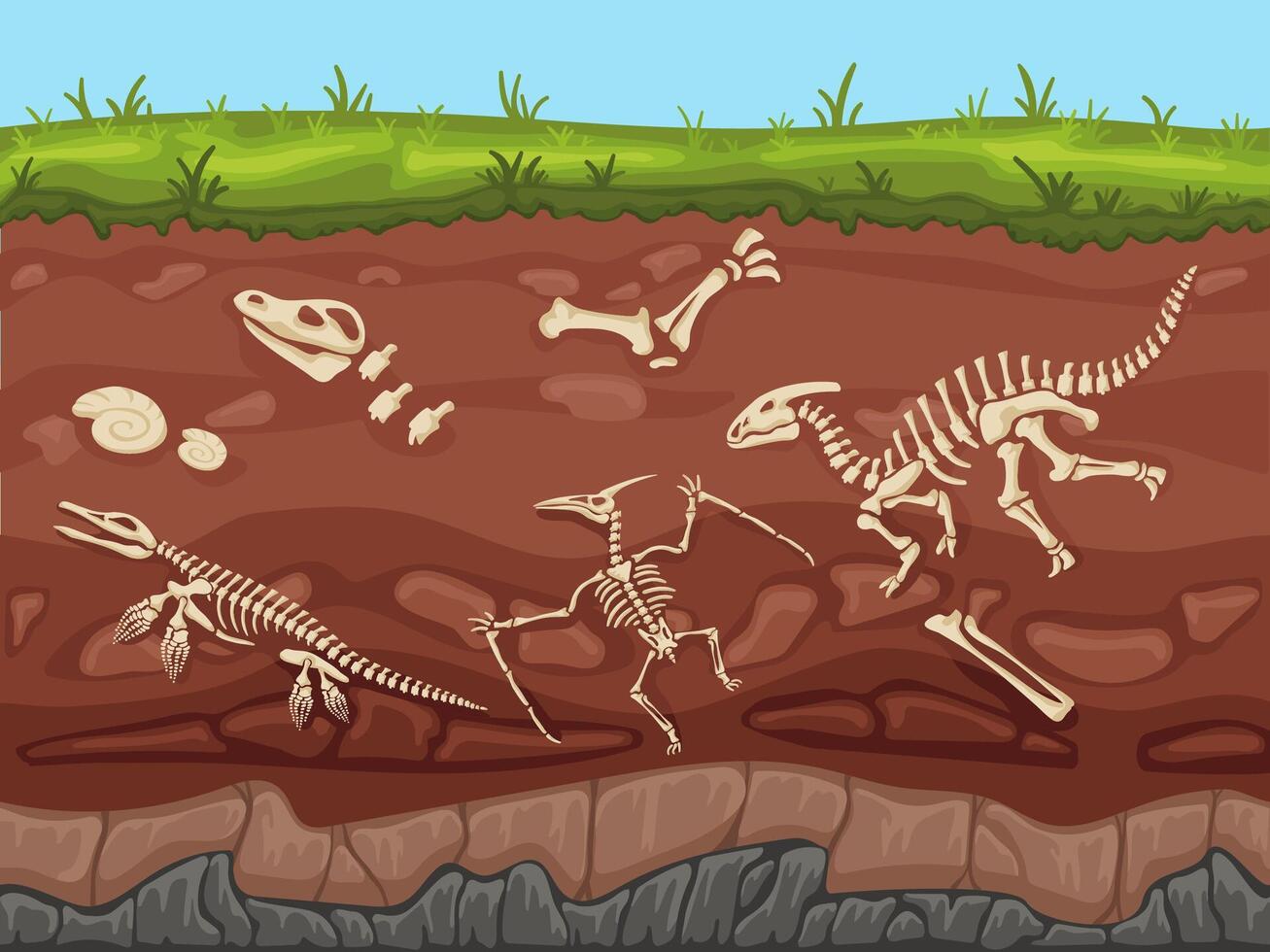 Soil layers with fossils. Ground layers with dinosaur bones and fossil skeletons, paleontology excavations cartoon illustration vector