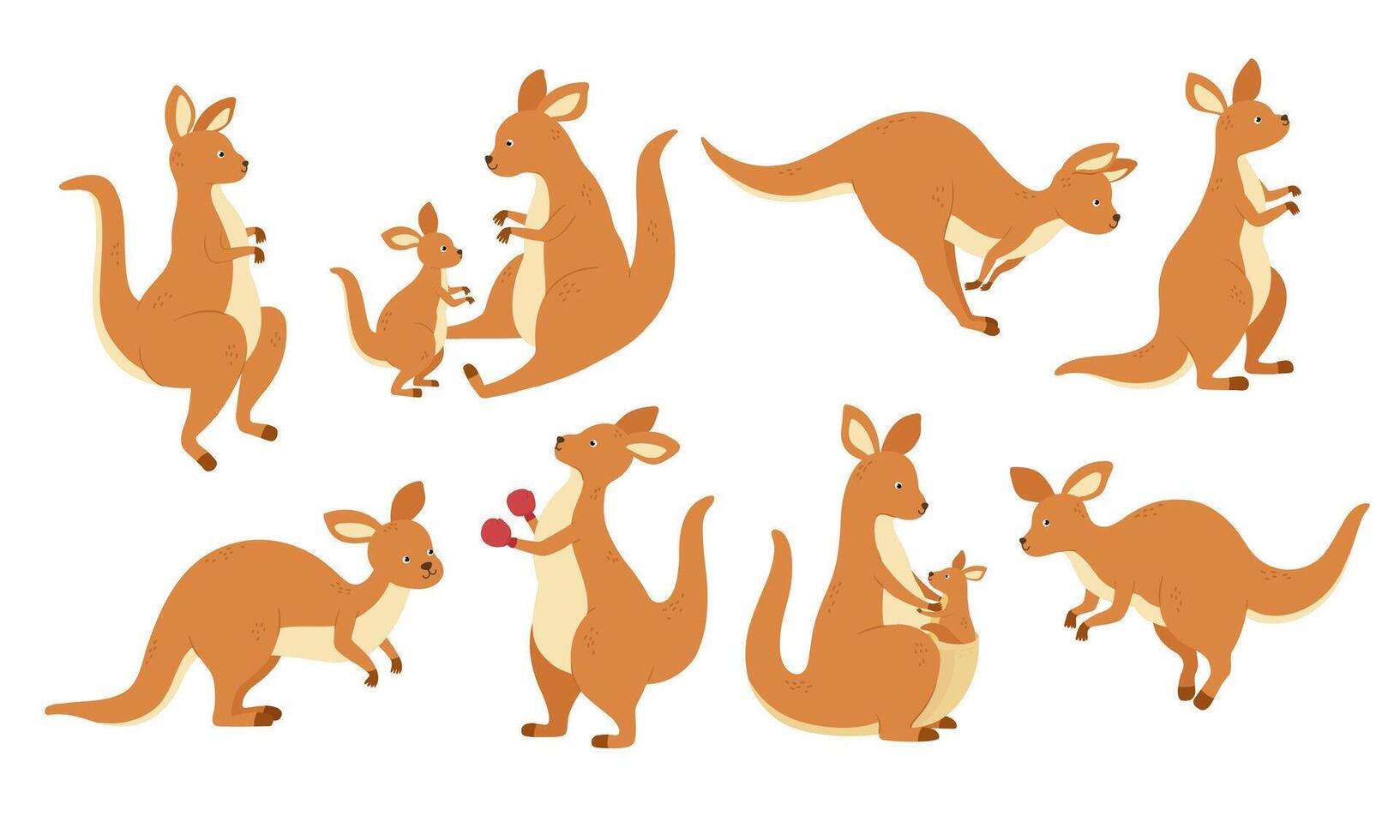 Cartoon kangaroo mascot. Jumping Australian animals, kangaroos in different poses set vector