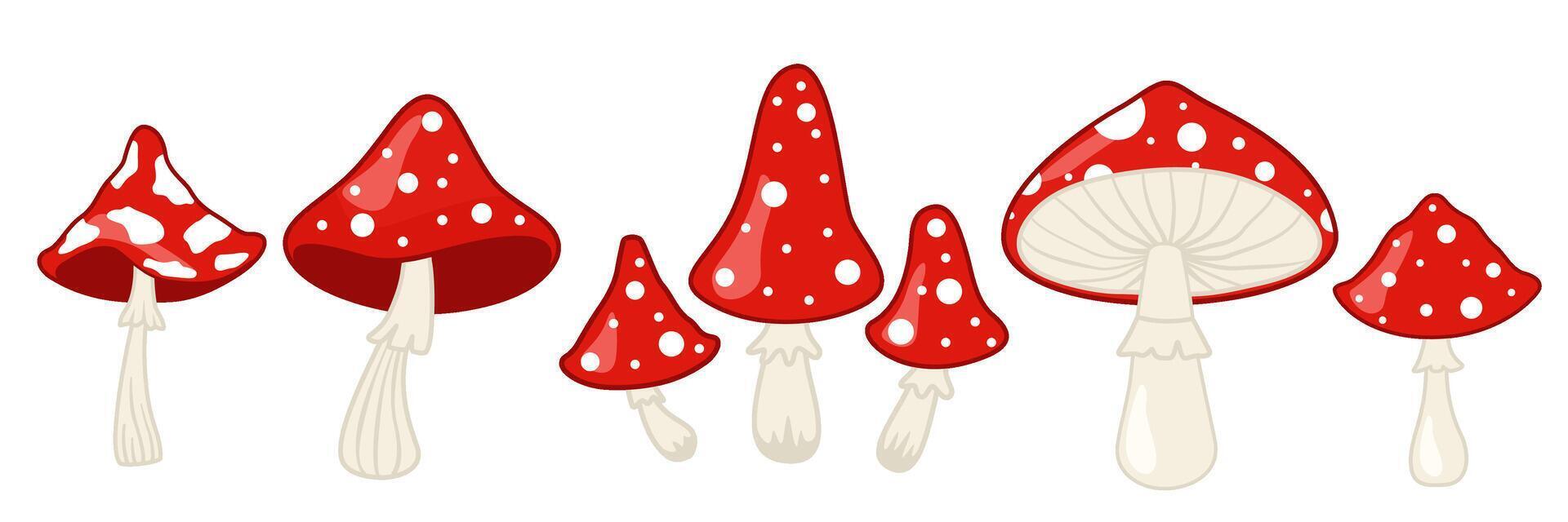 Amanita mushroom. Fly agaric, white spotted red mushrooms and forest toadstool illustration set vector