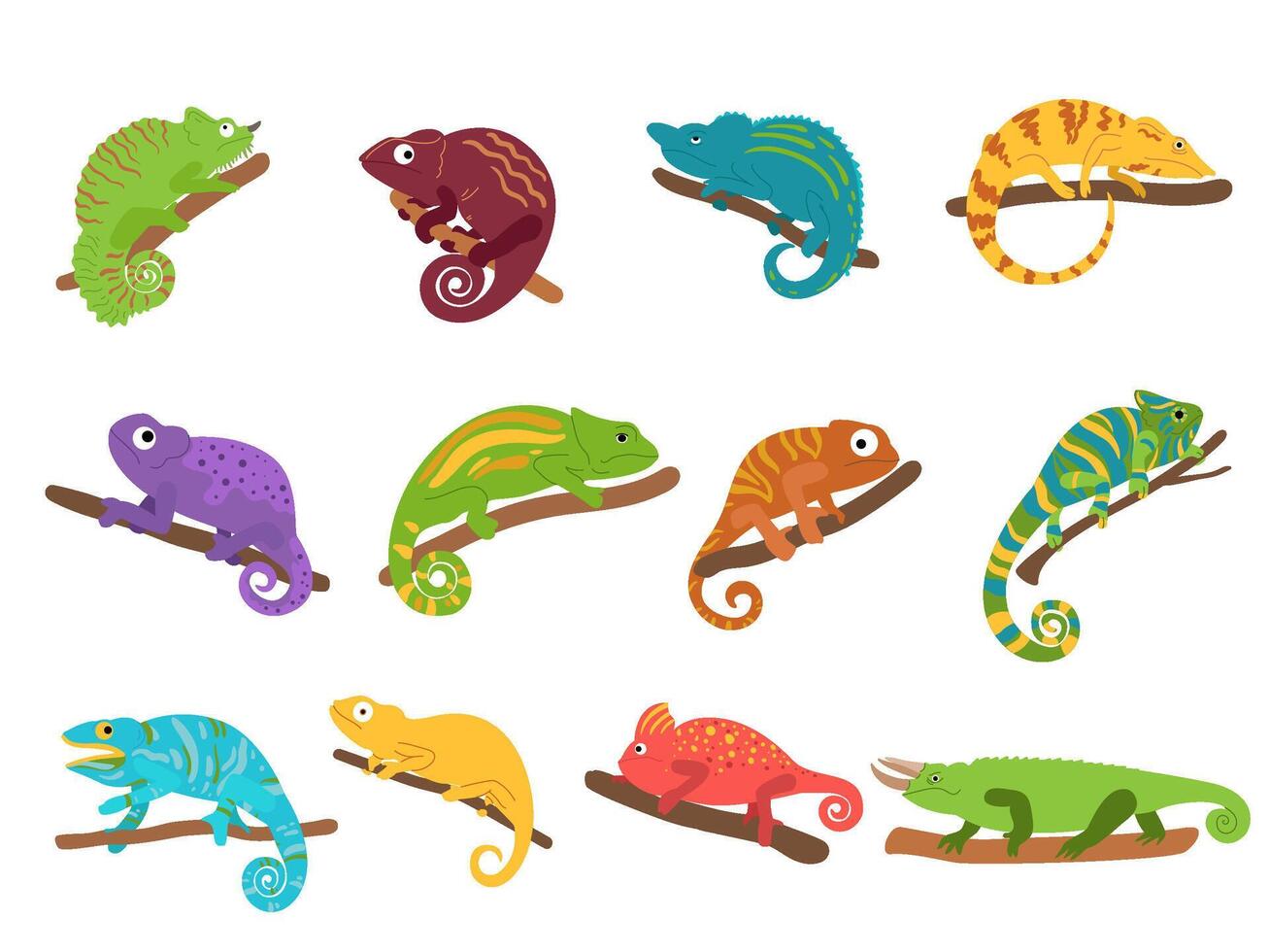 Chameleon animal. Mexican colourful lizard with curvy tail, tropical reptile animal and wild exotic chameleons set vector