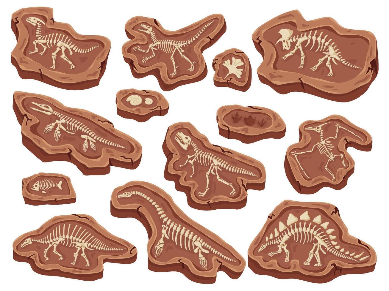 Cartoon fossils. Dinosaurs fossilization, ancient fish bones and ammonite shell. Paleontology digging, animal skeleton museum illustration vector