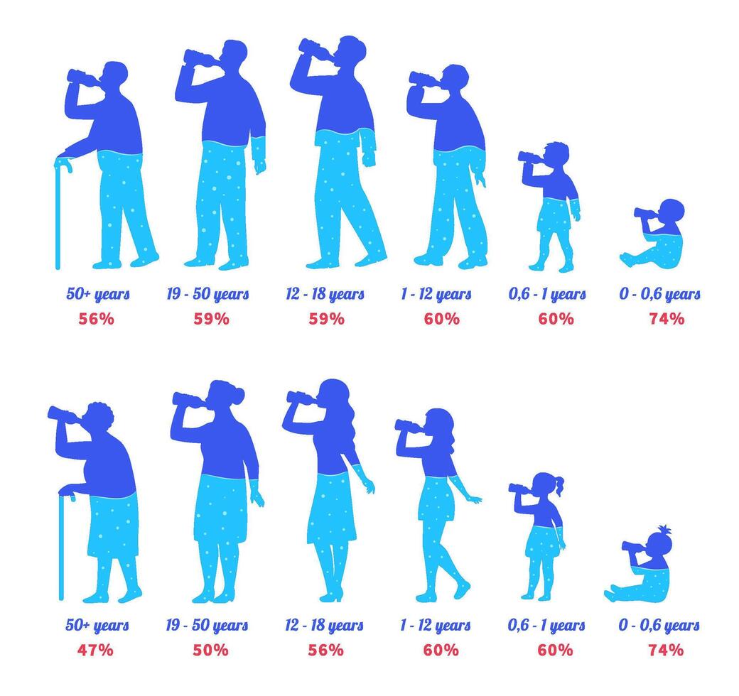 Body water percentage. Different age people drinking from bottle and refresh body water level. Man and woman silhouette illustration set vector