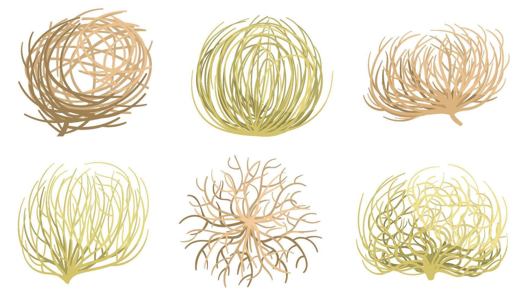 Cartoon tumbleweed. Western valleys and deserts plant, rolling dry tumble weed ball roots set vector