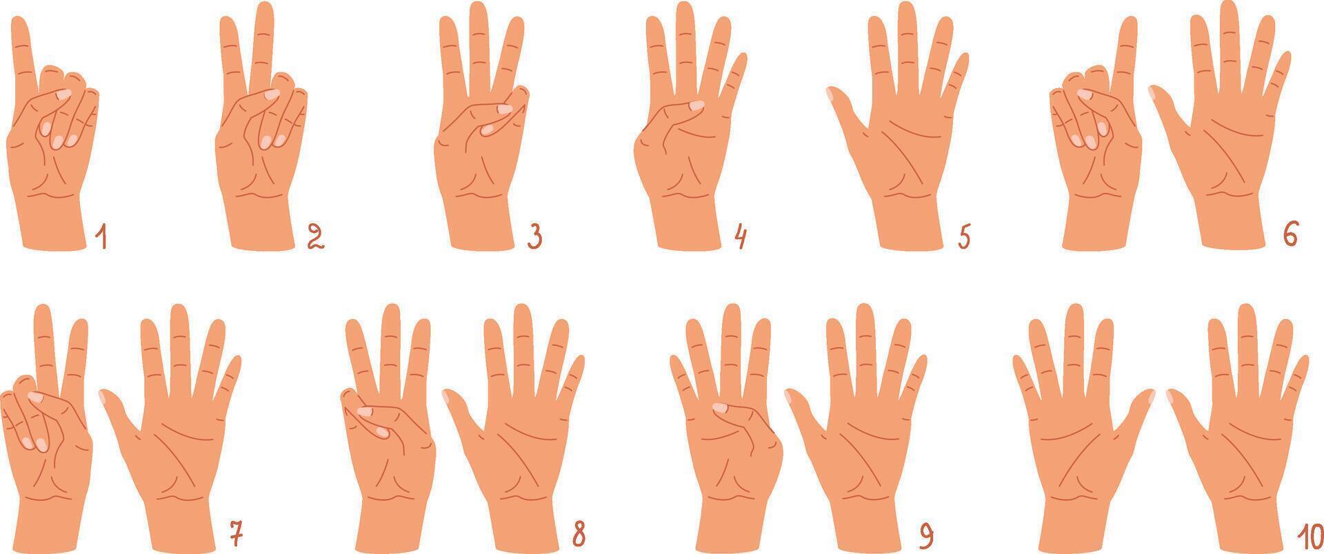 Cartoon hands count gesture, human wrist finger numbers. illustration set vector