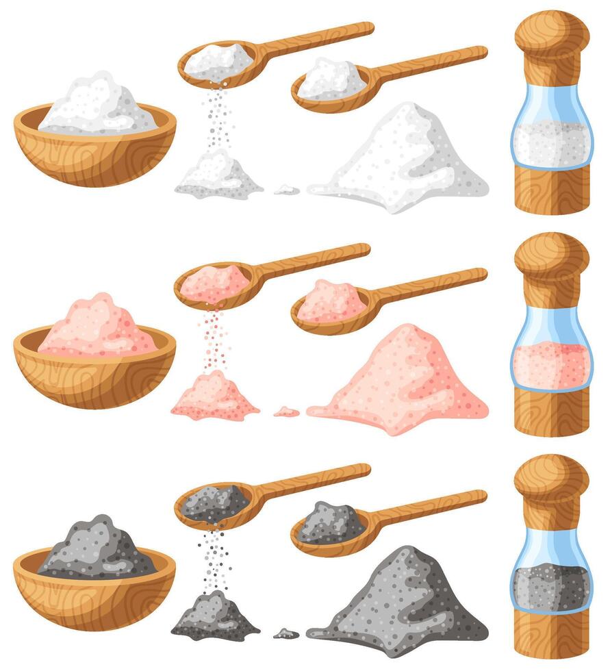 Pink, black and white salt. Wooden shaker, spoon and bowl with different salt types cartoon illustration set vector
