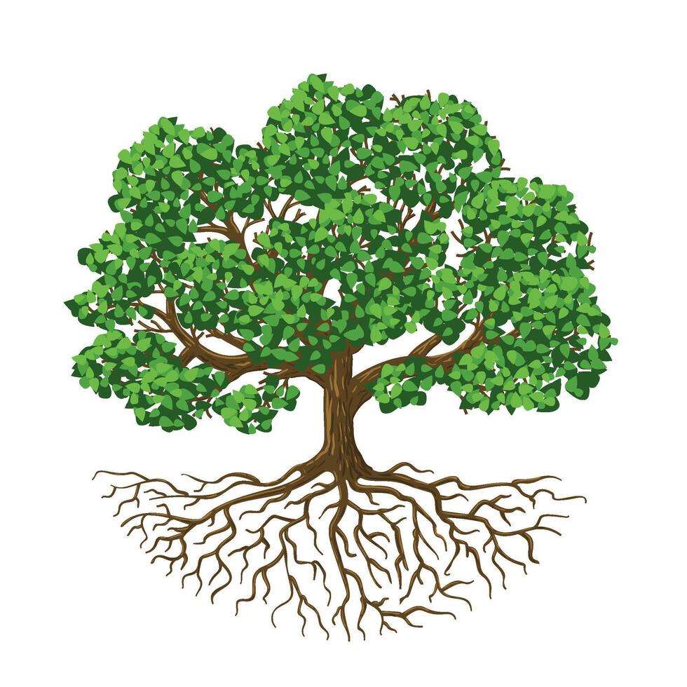 Tree of life. Natural growing tree with green leafs and roots, biological isolated illustration vector