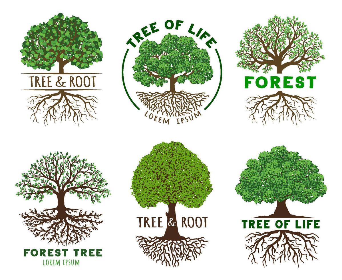 Life tree emblem template. Wisdom and harmony trees with roots, vibrant leaves on branches illustration set vector