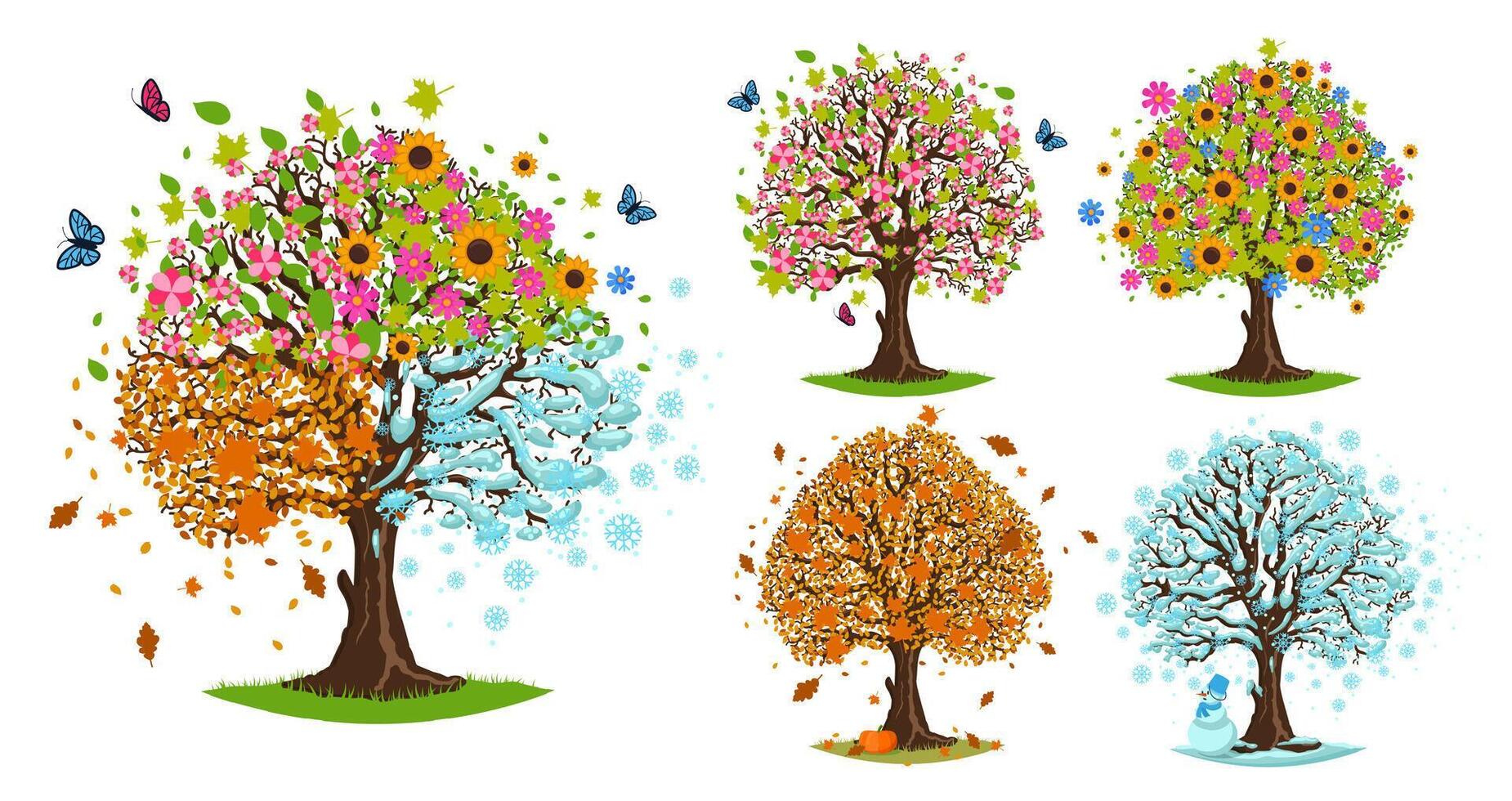 Season trees. Spring, summer, autumn and winter tree. Blooming, fallen leaves and snowy branches illustration set vector