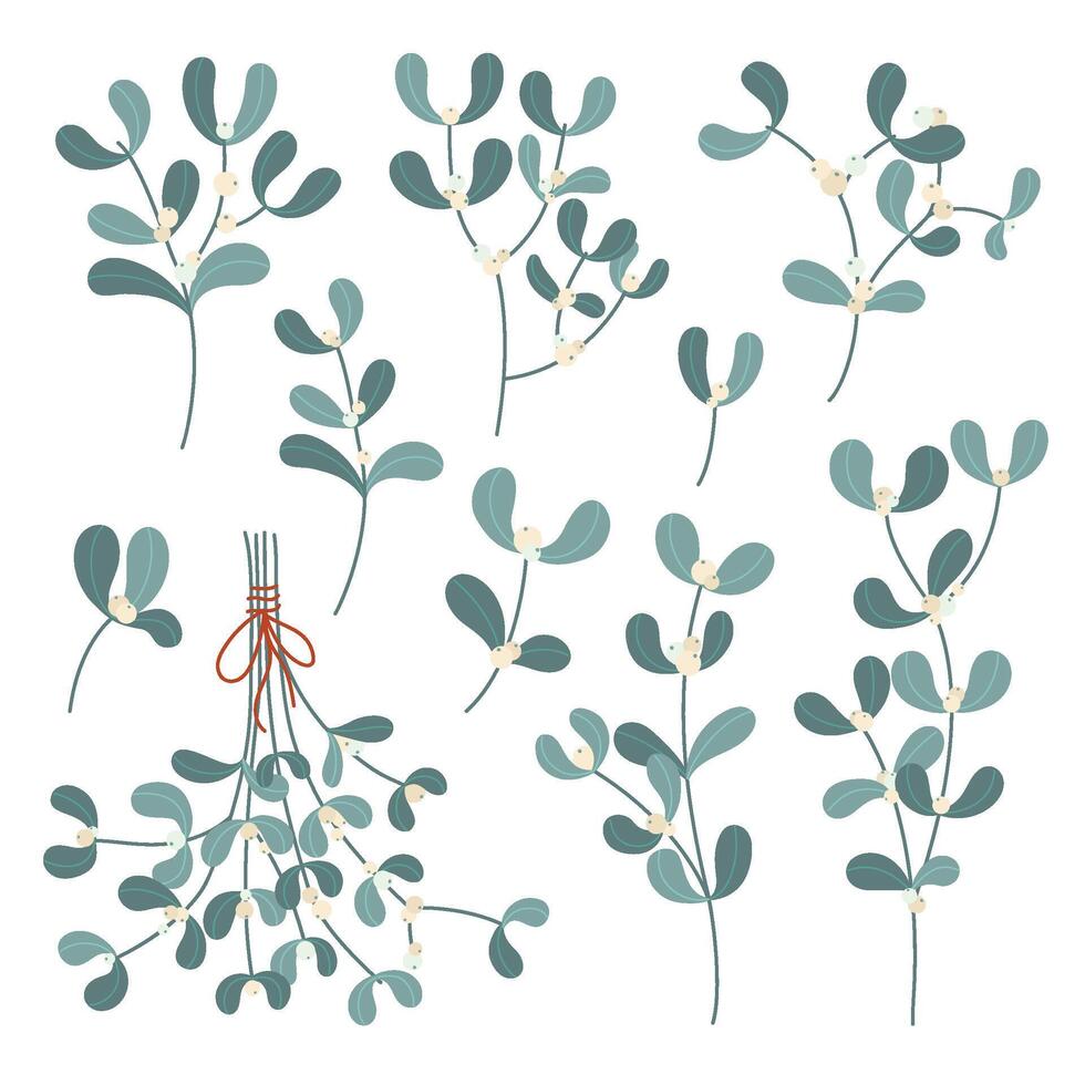 Mistletoe branches. Christmas decoration plant branch with berries and leaves, floral cartoon elements illustration set vector
