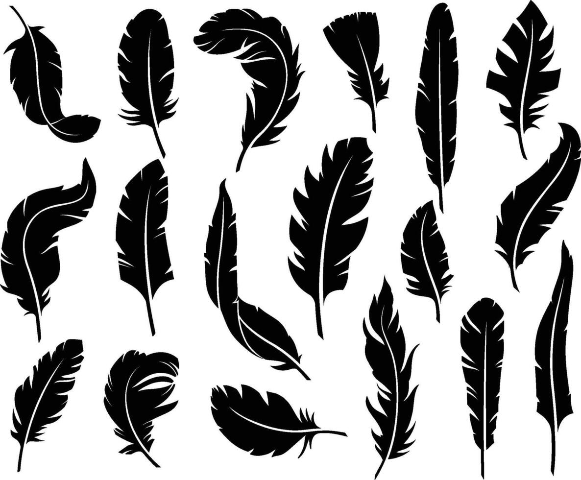 Stencil feather. Soft plume silhouettes, vintage handwriting pen and light decorative bird wing feathers symbols set vector
