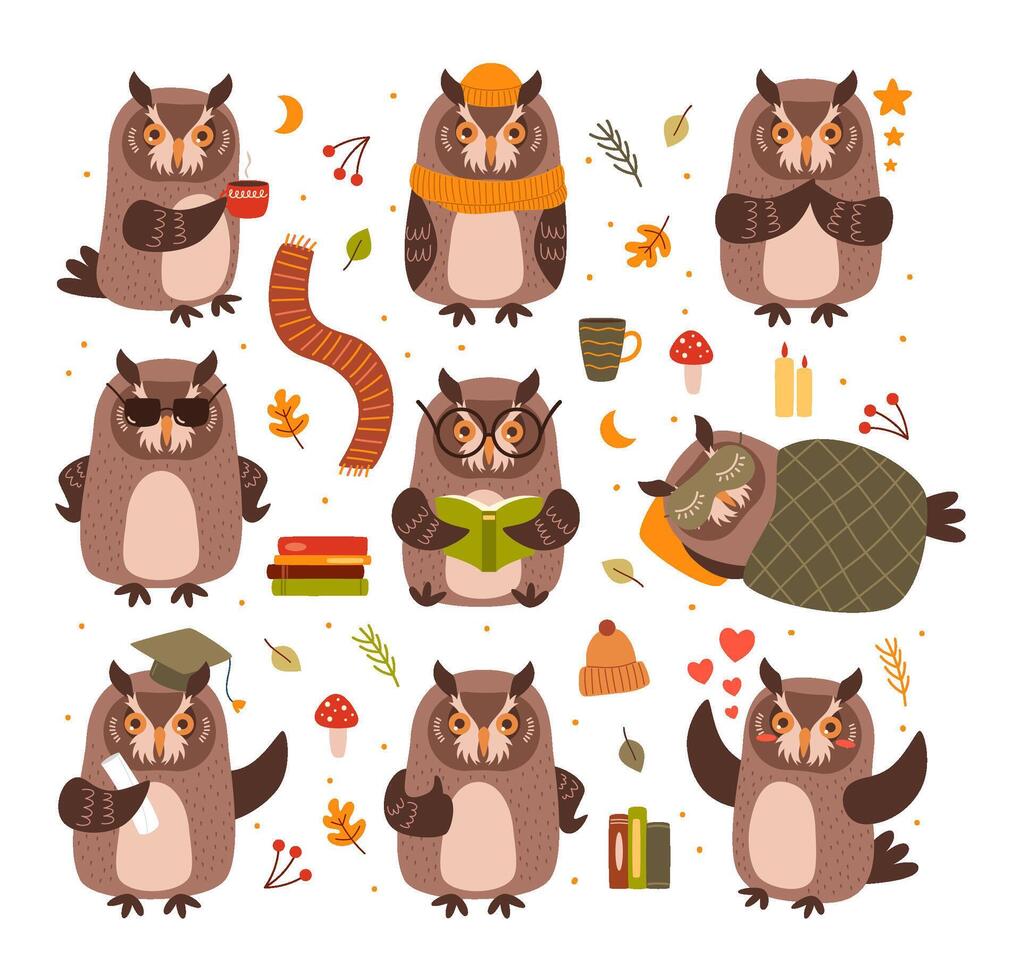 Cute owls mascots. Smart bird read book and study, owl drink coffee and sleeping under blanket cartoon set vector