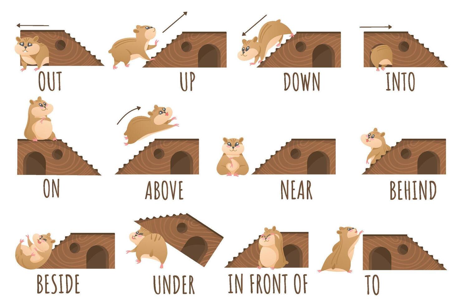 Learn prepositions of place and movement. Hamster character in different positions, cute animal educational cartoon Illustration set vector