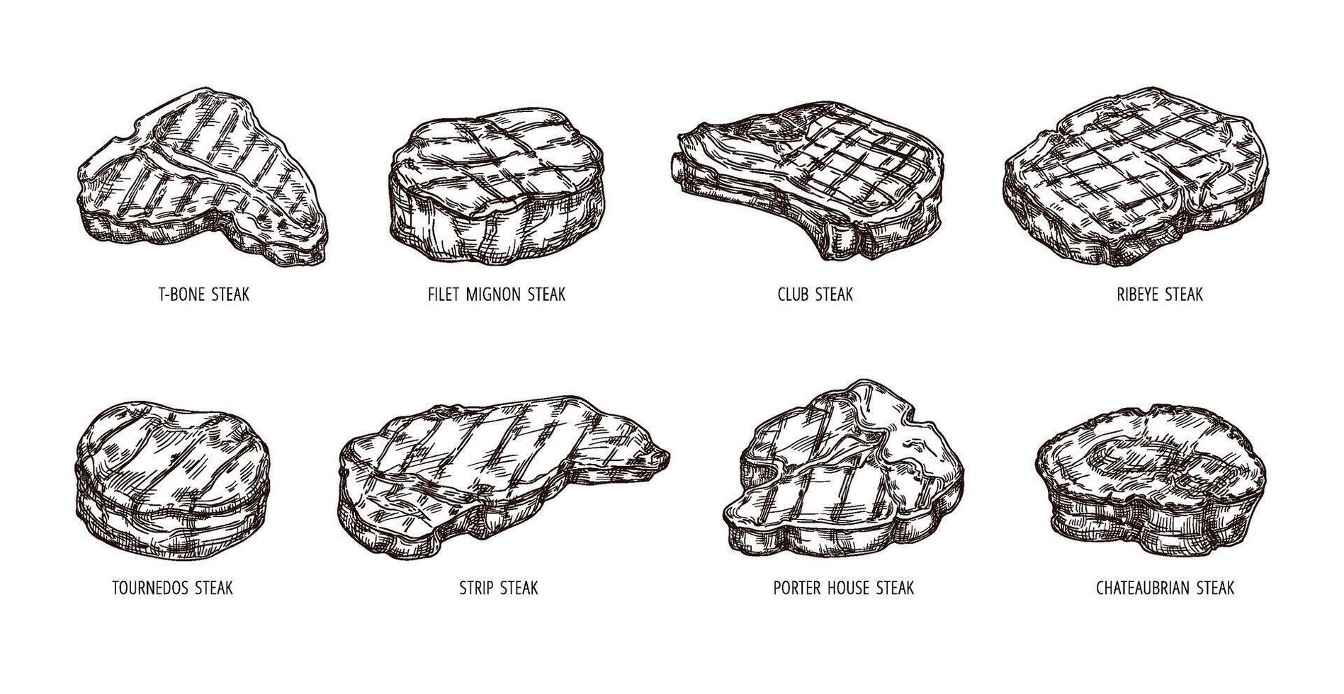 Sketch steak. Hand drawn beef food, engraving bbq meat strip, club and ribeye steaks set vector