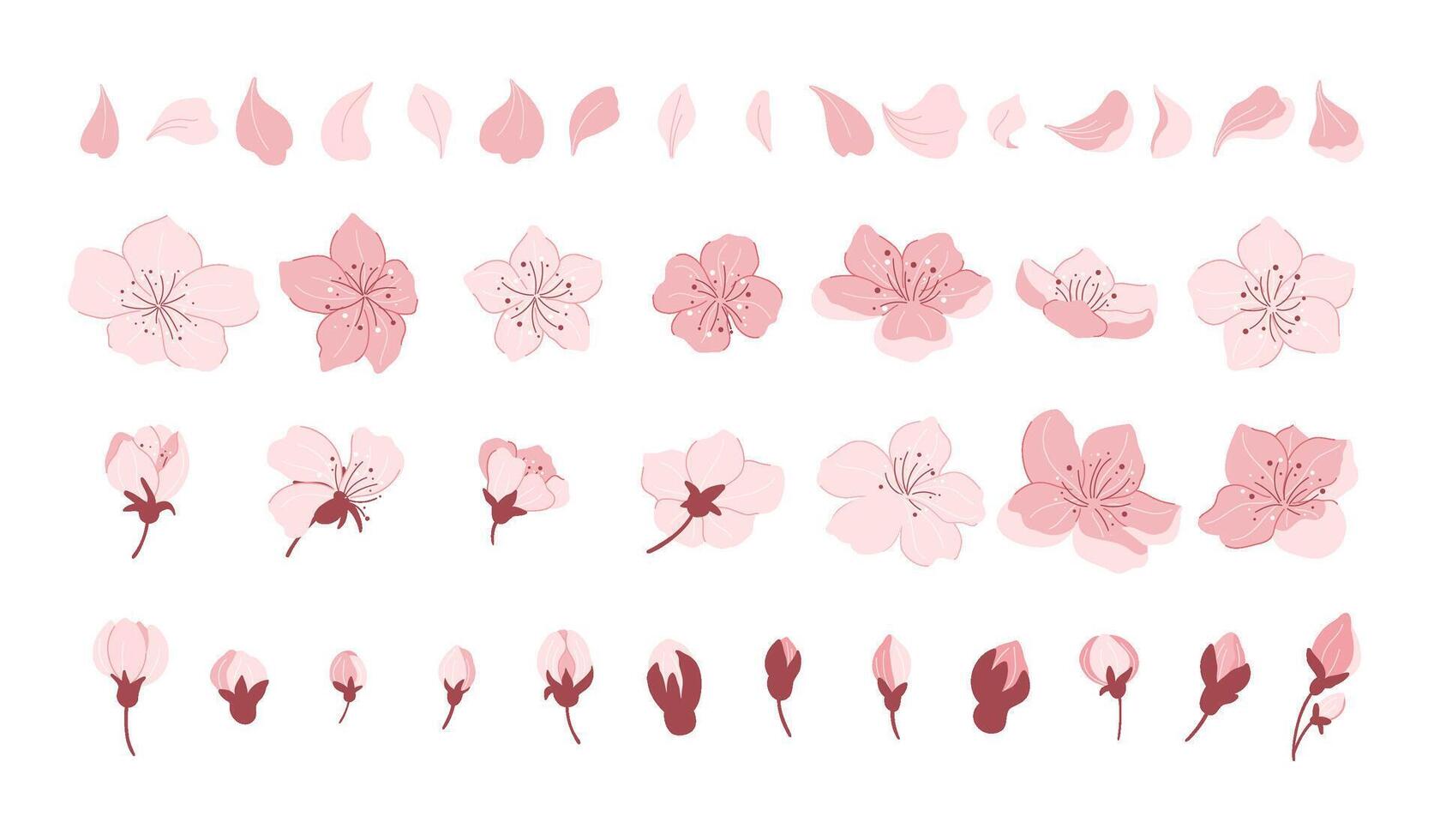 Sakura cherry blossom. Japanese cherry petals, falling spring flowers and sakura season icons set vector