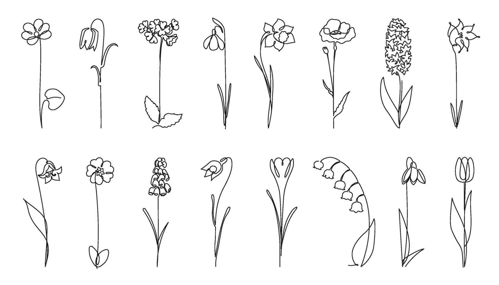 Continuous one line spring flowers. Botanicals silhouette, early flower and nature beauty hand drawn illustration set vector