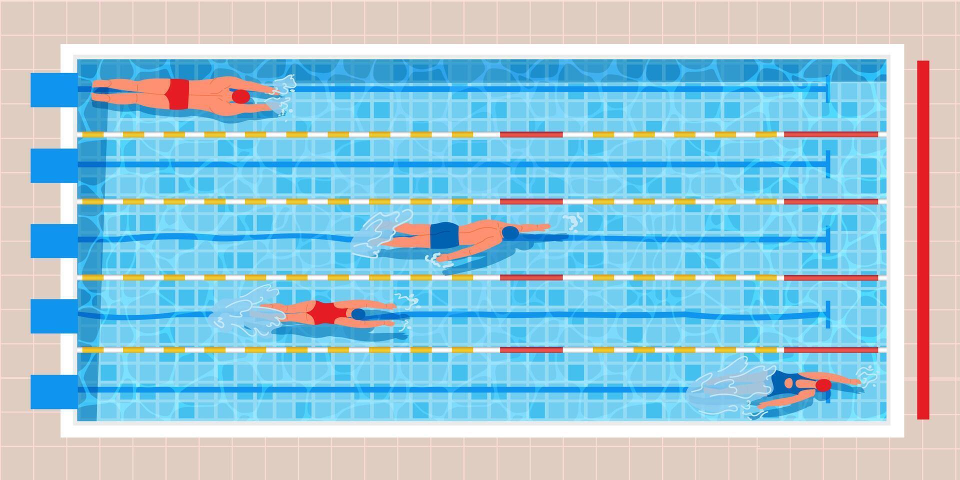 Top view swimming pool. Pool race with professional swimmers in swimwear, water sport illustration vector