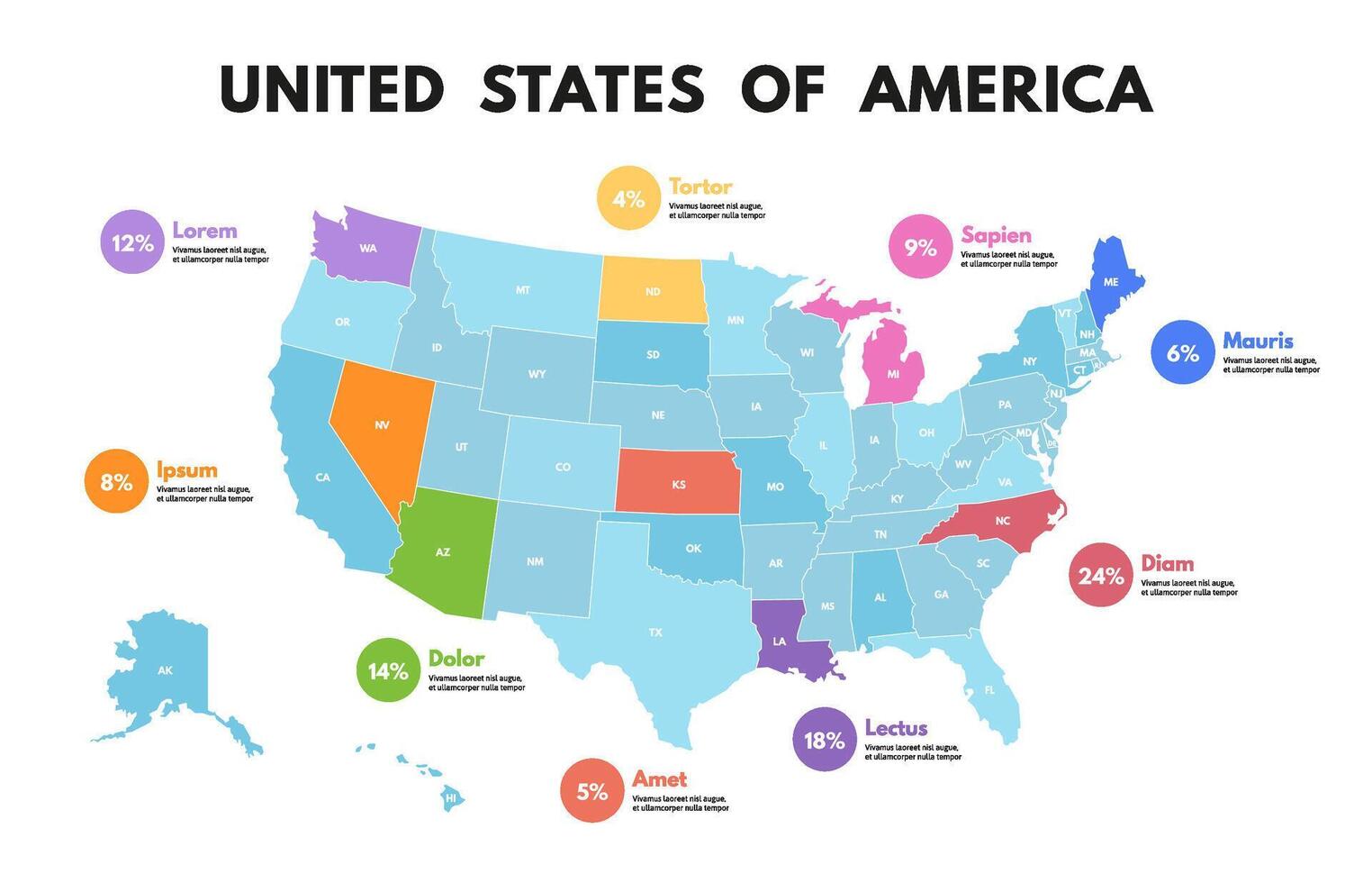 USA map infographic. United States of America social data visualization, state statistics presentation template vector