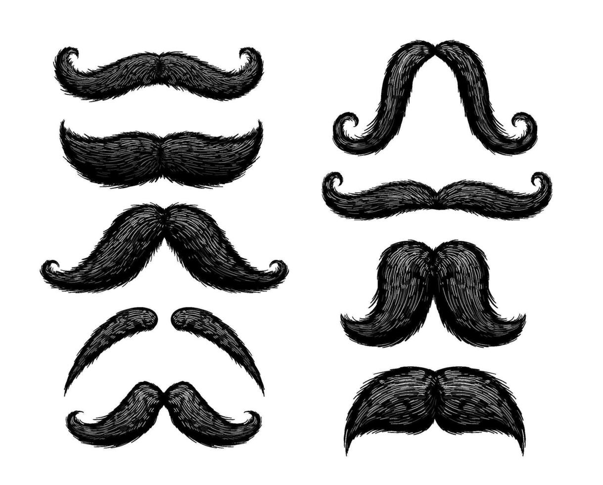 Hand drawn mustache. Old-fashioned curly Hipster bushy mustaches, vintage facial hair barber styles and retro gentleman symbol illustration set vector