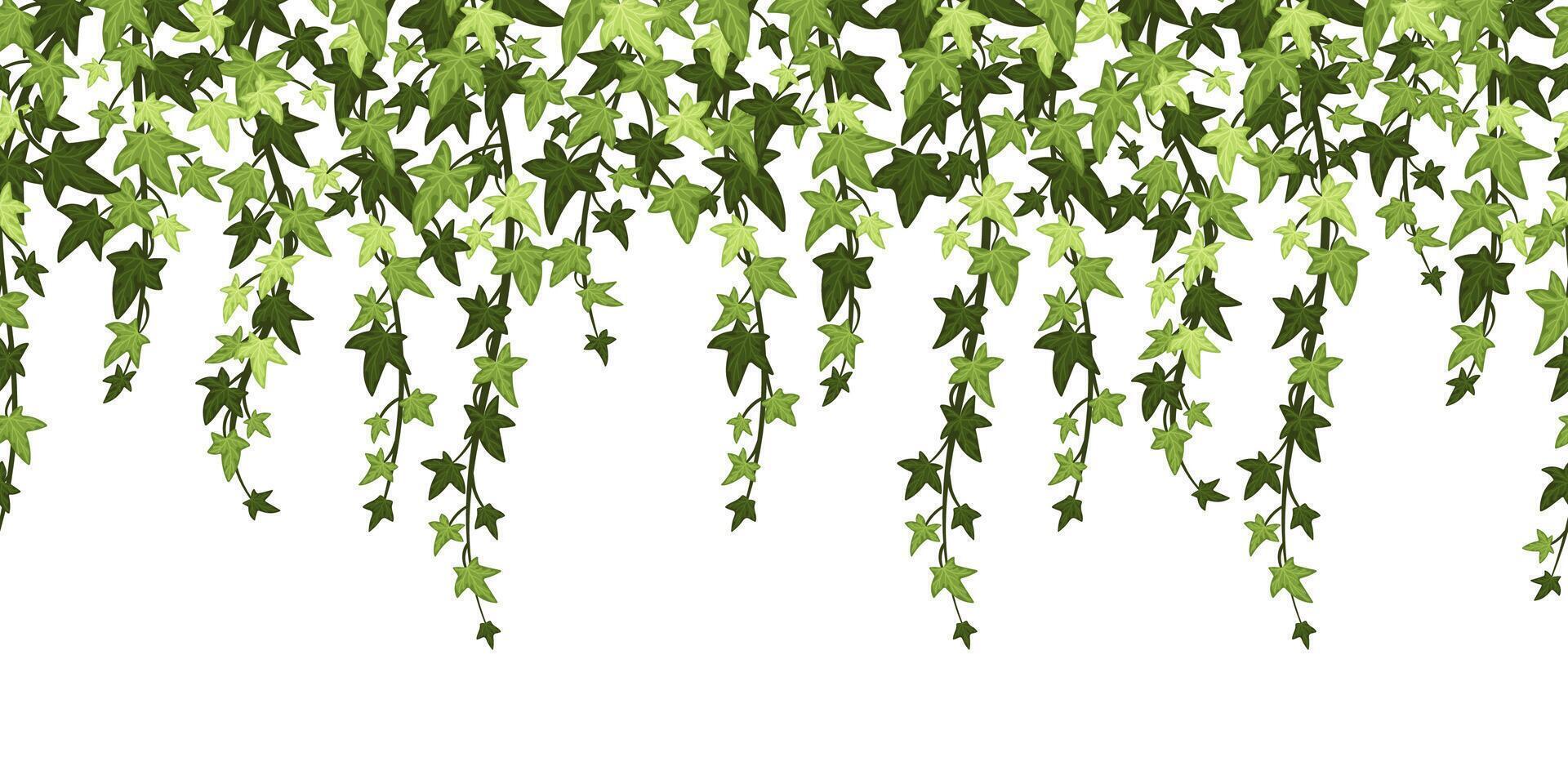 Green ivy plant branches background. Hanging vine with leaves, floral botanical backdrop cartoon illustration vector