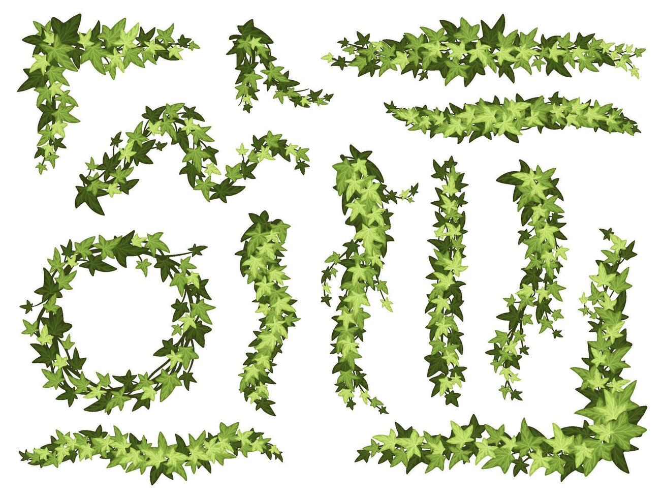 Cartoon green ivy. Creeper tree foliage border, garden decoration divider and hanging vine plant branches set vector