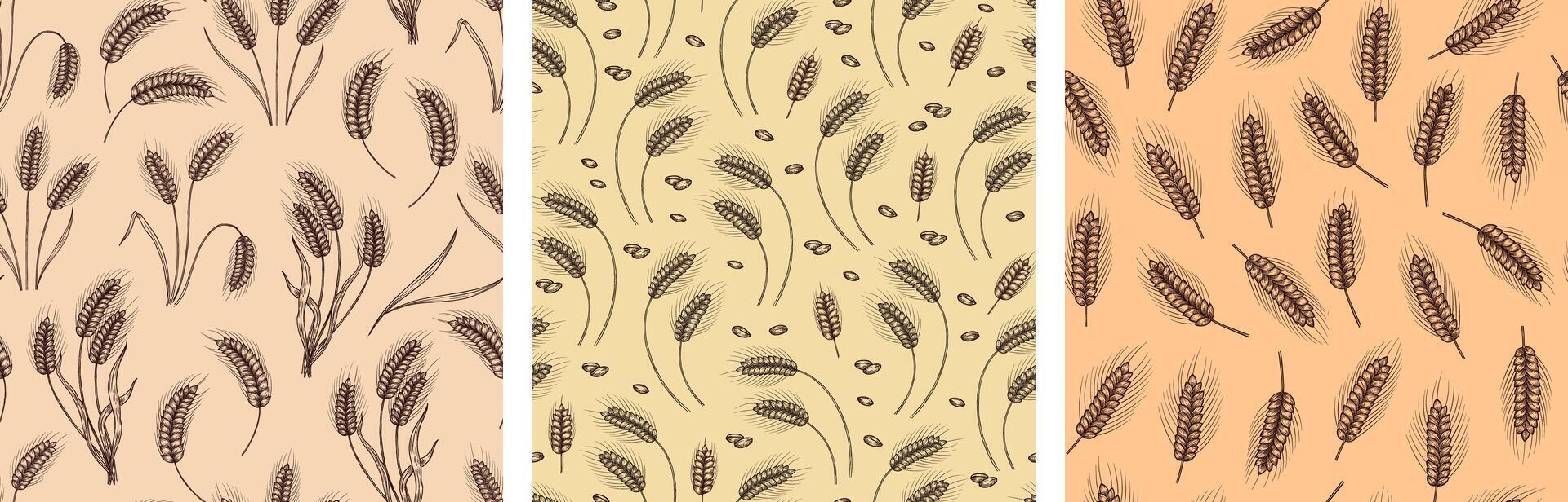 Hand drawn wheat seamless pattern. Wheat ear and grain motifs for nature inspired floral textiles and packaging designs set vector