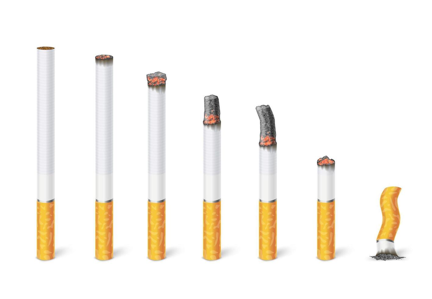 Cigarette burn stages. Tobacco burning process from new cigarette to butt isolated illustration set vector