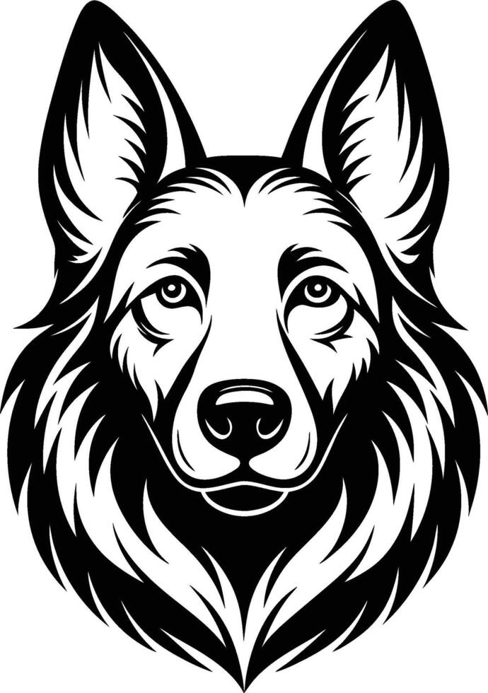German shepherd dog on a white background vector
