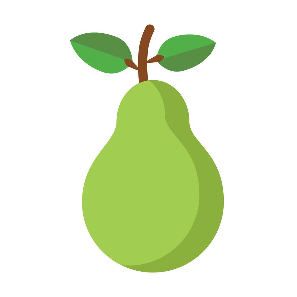 Pear fruit Illustration vector