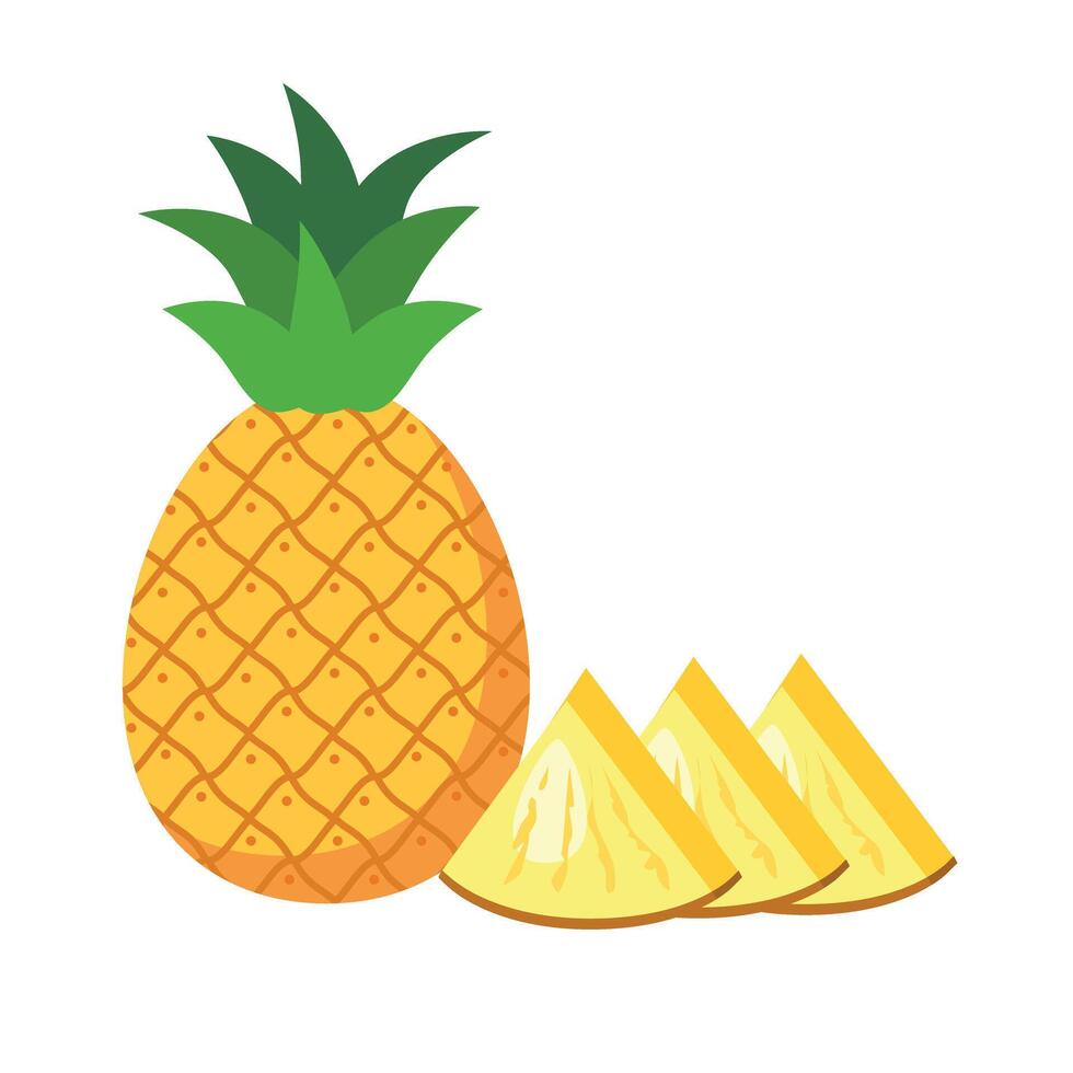 Pineapple with slices Illustration vector