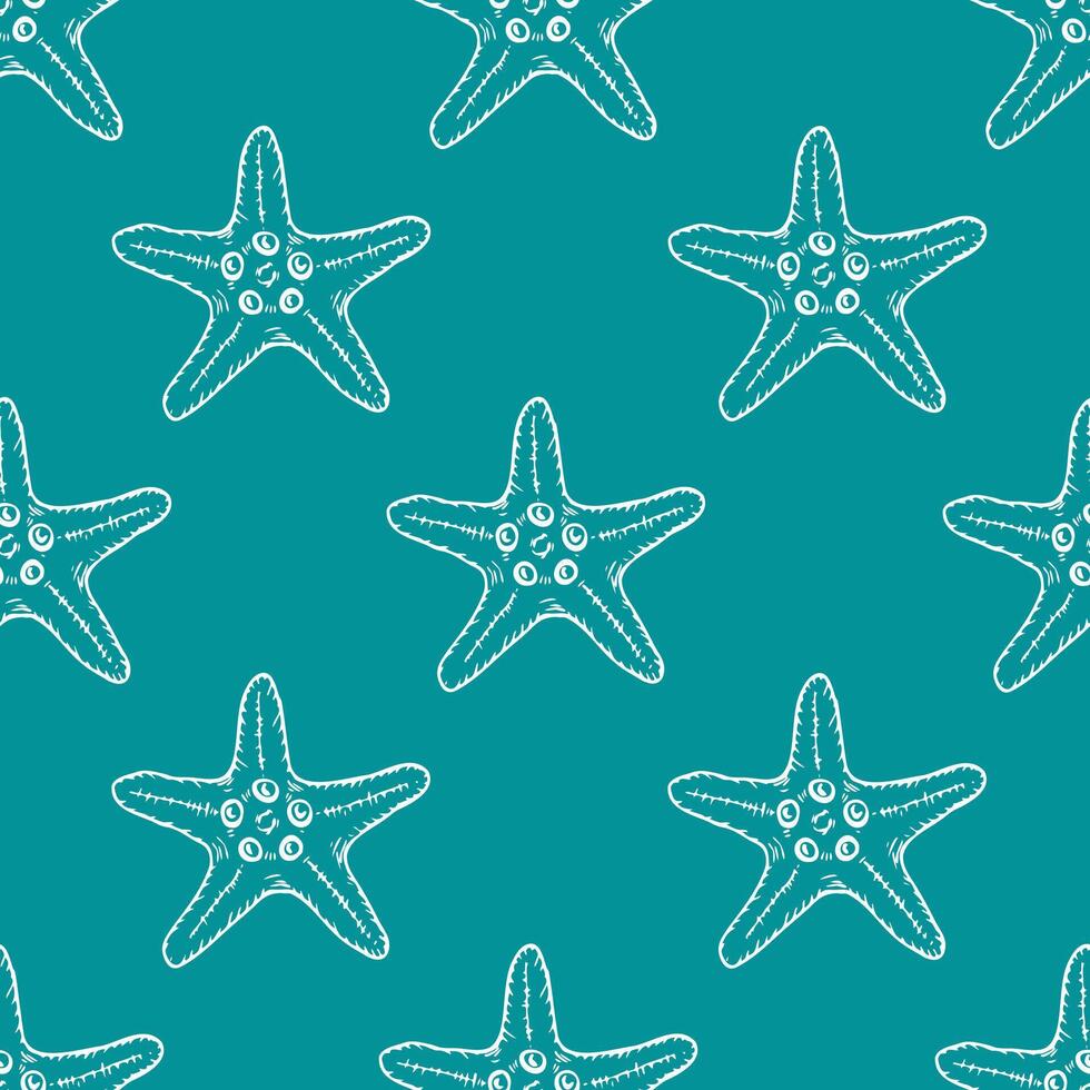 Seashells seamless pattern with starfish line art illustration on turquoise background. Hand drawn sea star sketch, undersea drawing. Summer ocean beach print for background, textile, fabric, wrapping vector