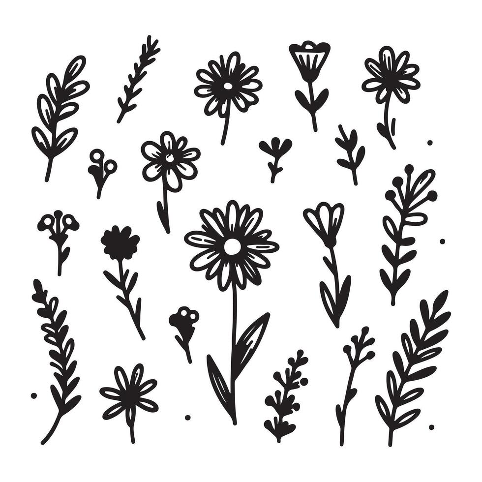 Hand drawn flower doodles. Hand drawn sketch of spring flower plant. simple flower with white background vector