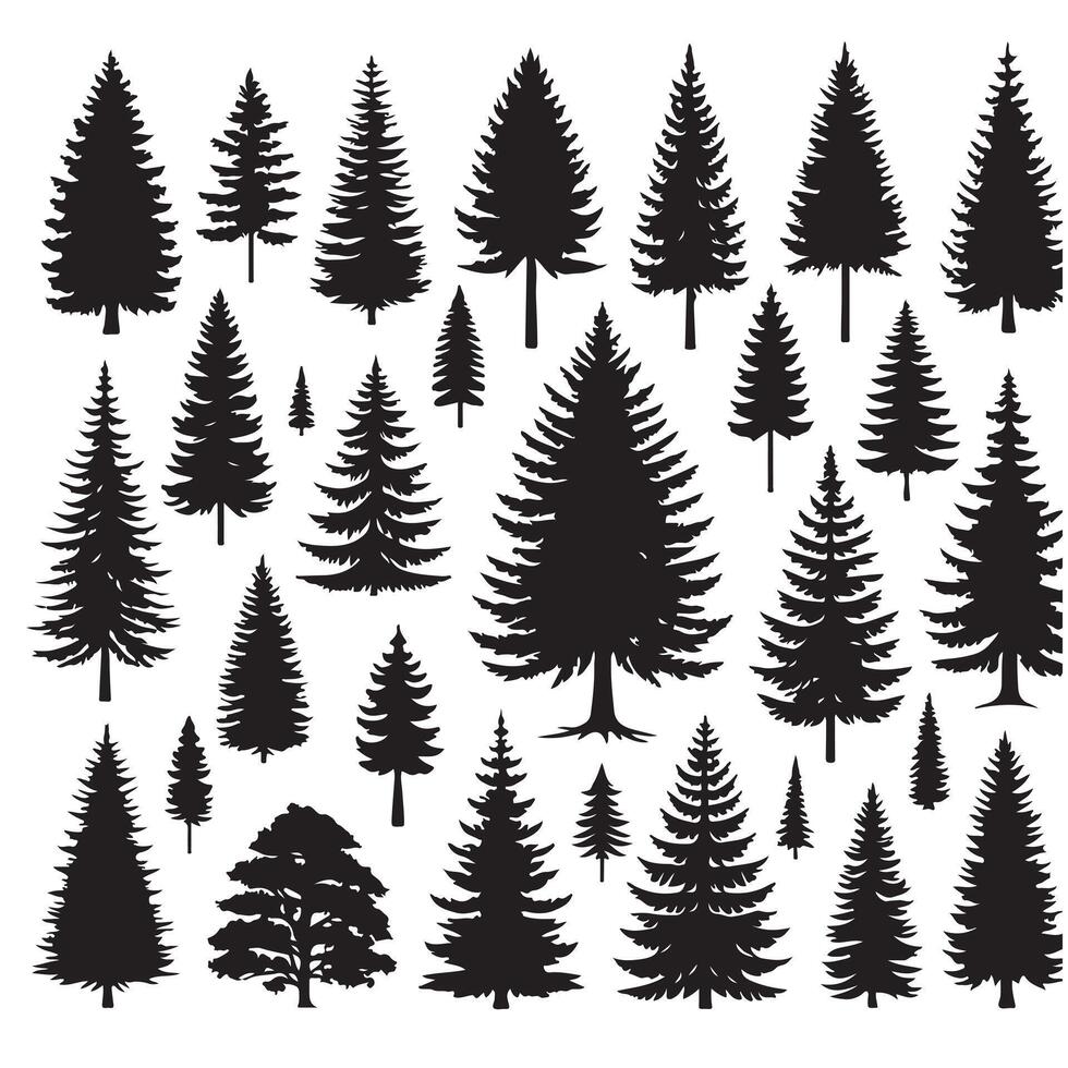 Pine tree silhouettes. Evergreen forest firs and spruces black shapes, wild nature trees templates. illustration woodland trees set on white background vector