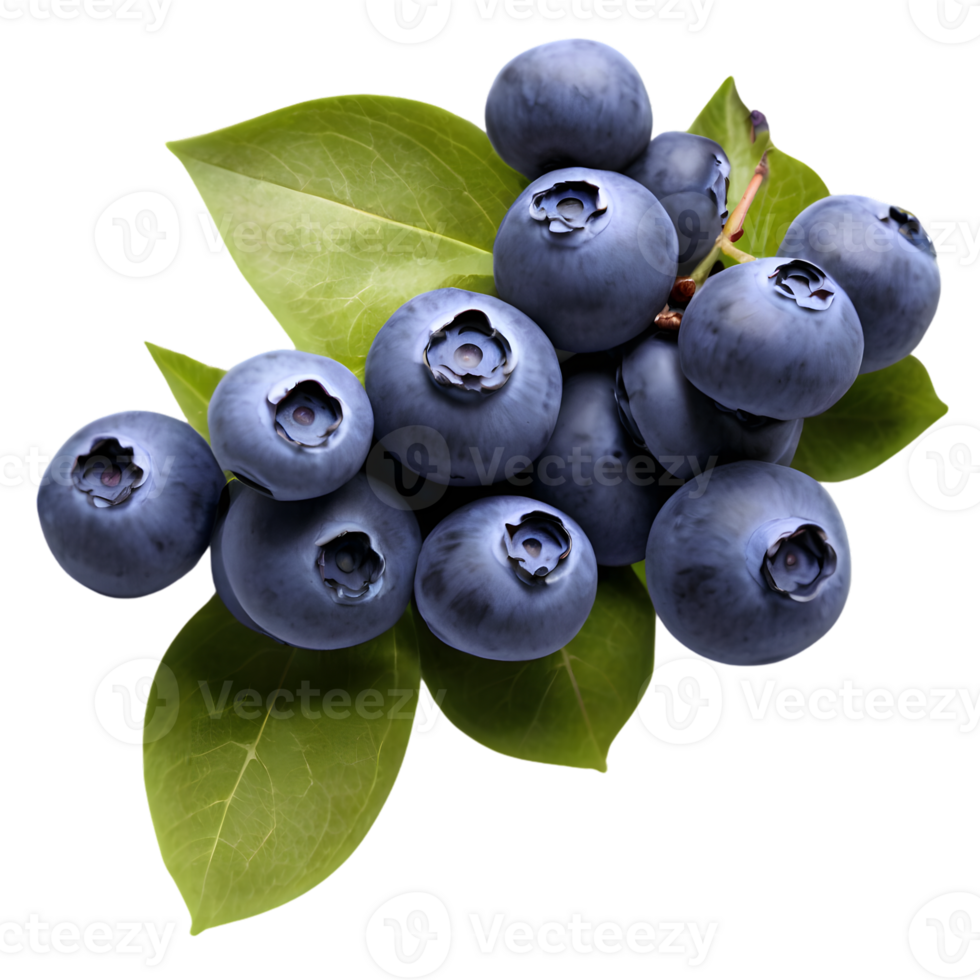 Fresh blueberries with green leaves isolated on transparent background png