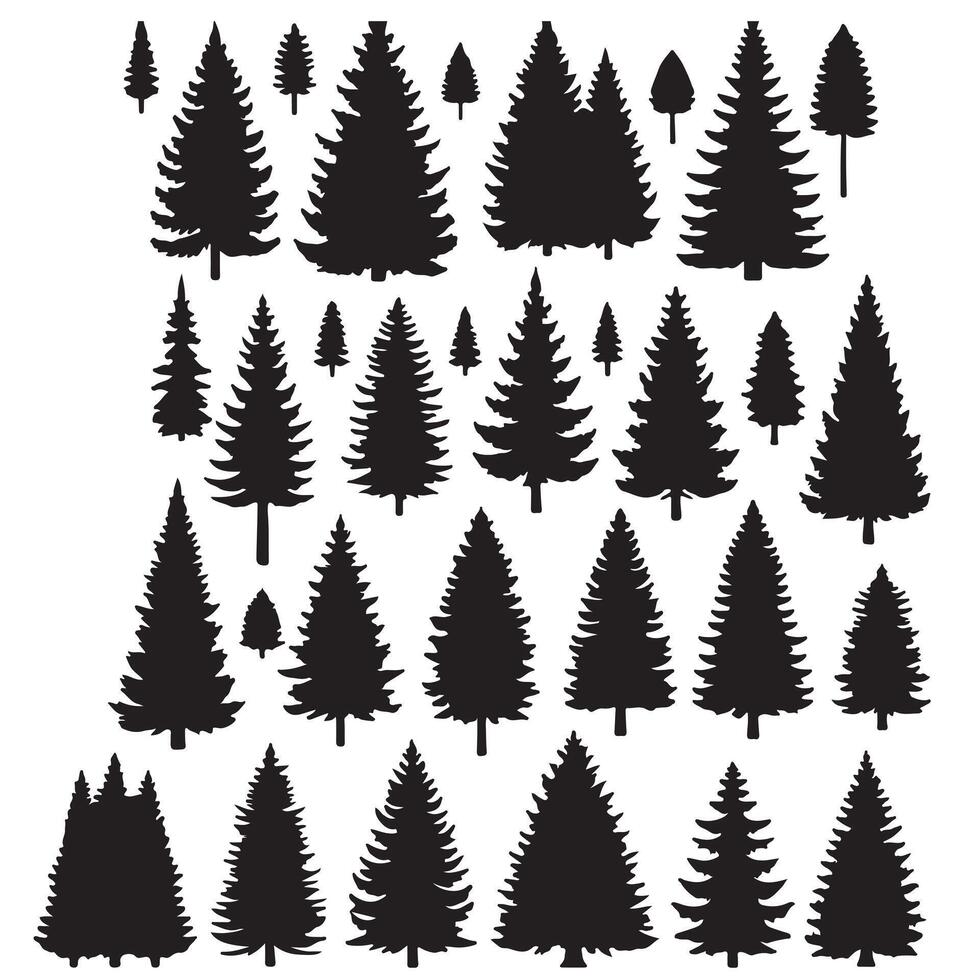 Pine tree silhouettes. Evergreen forest firs and spruces black shapes, wild nature trees templates. illustration woodland trees set on white background vector
