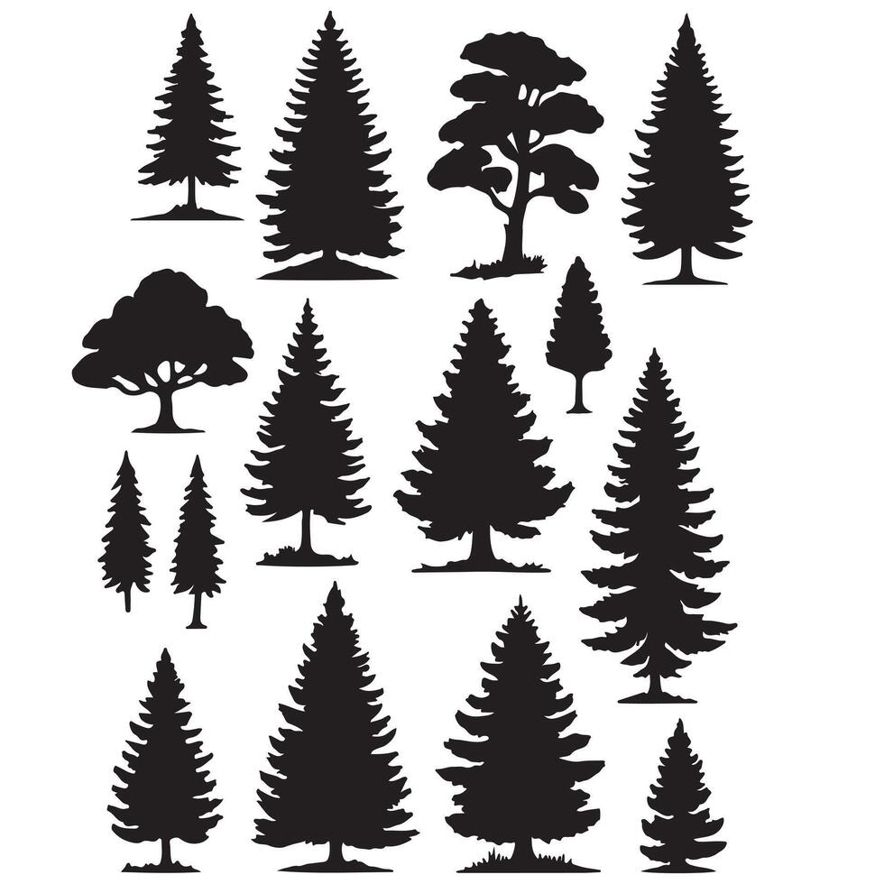 Pine tree silhouettes. Evergreen forest firs and spruces black shapes, wild nature trees templates. illustration woodland trees set on white background vector