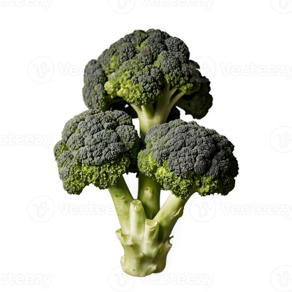 Fresh broccoli isolated on transparent background png