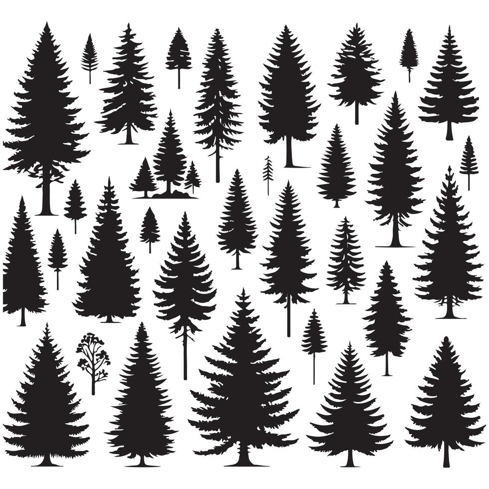 Pine tree silhouettes. Evergreen forest firs and spruces black shapes, wild nature trees templates. illustration woodland trees set on white background vector