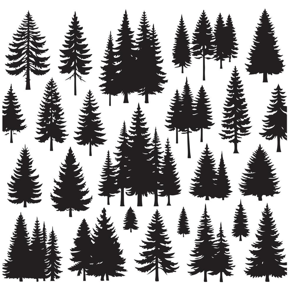 Pine tree silhouettes. Evergreen forest firs and spruces black shapes, wild nature trees templates. illustration woodland trees set on white background vector