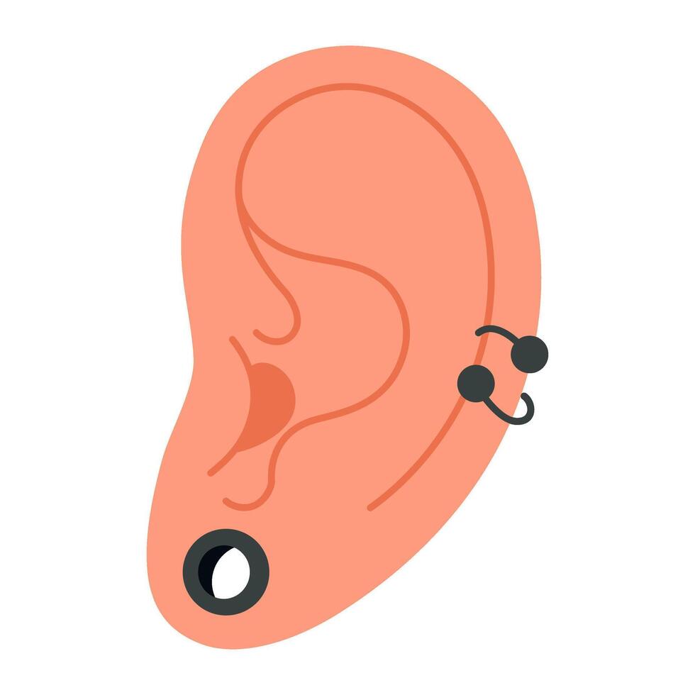 Human Ear tunnel and helix piercing. flat style color illustration vector