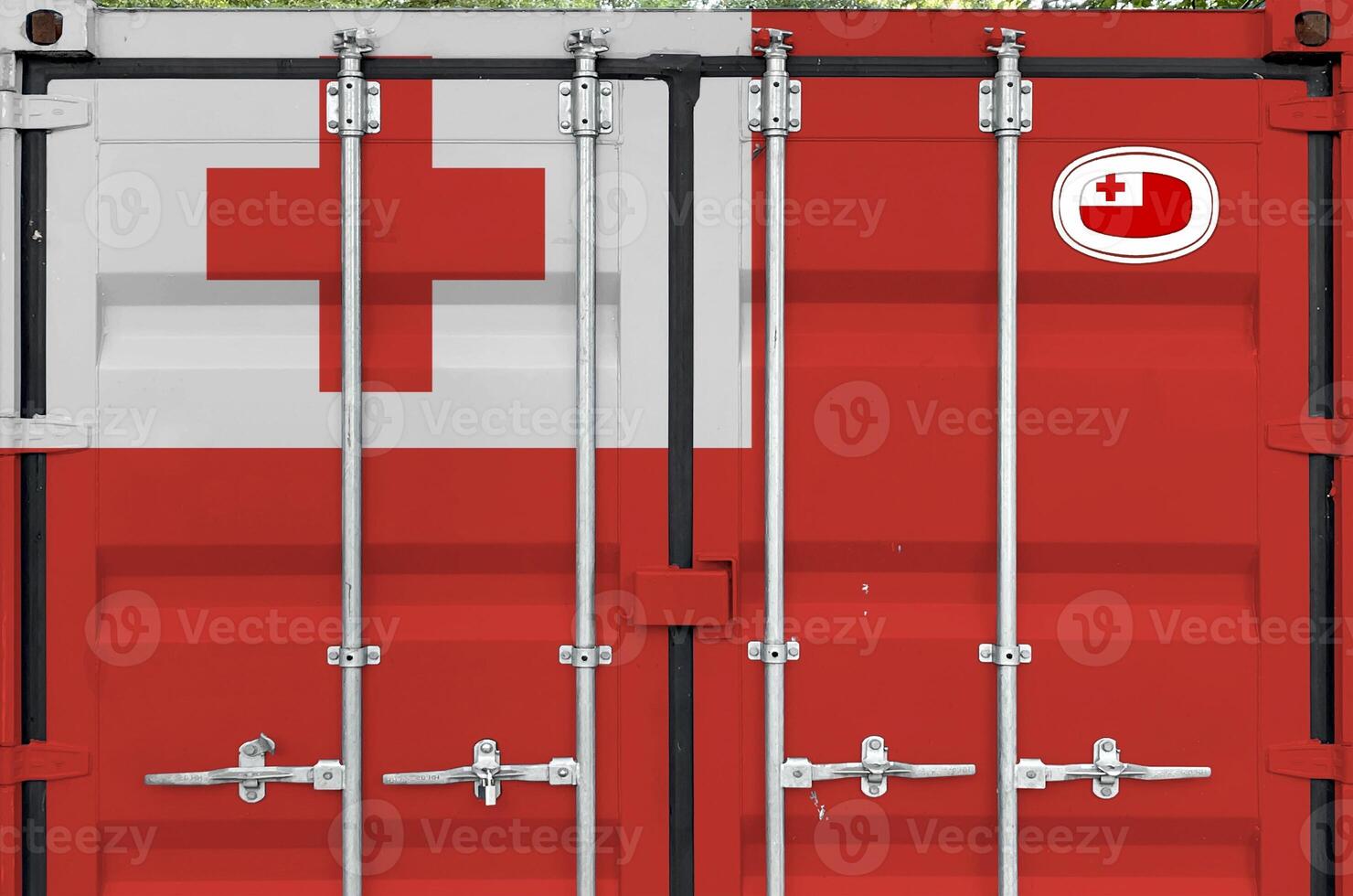 Tonga flag depicted on metal doors of shipping cargo container outdoors