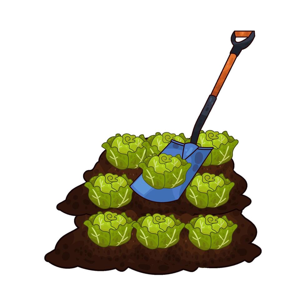 Illustration of cabbage and shovel vector