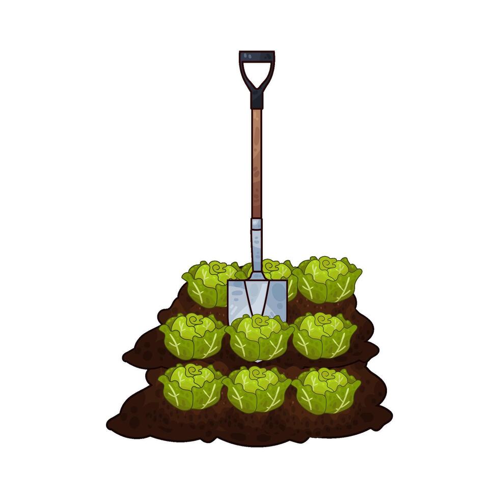 Illustration of cabbage and shovel vector